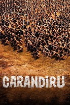 Carandir 