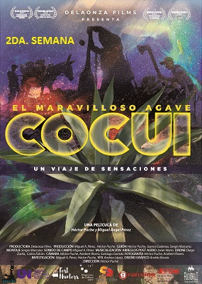 El Maravilloso agave cocuy - Estreno